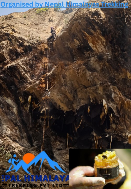 Mad Honey Nepal